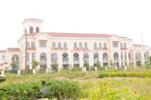 奉賢區金薔薇幼稚園 奉賢區金薔薇幼稚園