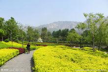 在登封市區遠看峻極峰