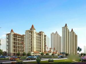 佛奧中金棕櫚灣