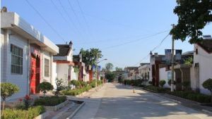 龐家務村 龐家務村