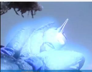 它的吸收能力不可小看