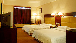 湖南長沙同發大酒店 湖南長沙同發大酒店