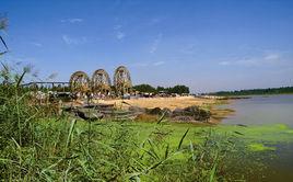 減河濕地 減河濕地