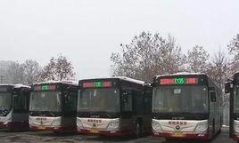 淄博公交135路