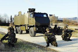 瑞士軍事 瑞士軍事