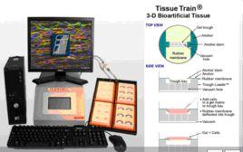 三維細胞培養 三維細胞培養