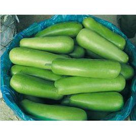 福州芋瓠 福州芋瓠