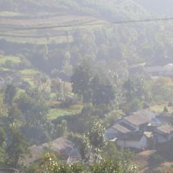 花石村[雲南會澤縣火紅鄉下轄村]
