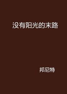 沒有陽光的末路 沒有陽光的末路