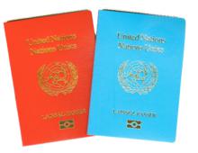 聯合國紅藍通行證