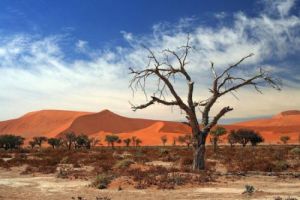 納米比亞共和國