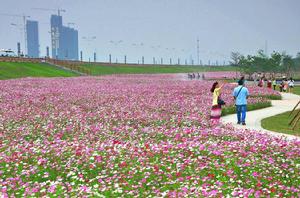 綠島湖濕地公園 綠島湖濕地公園