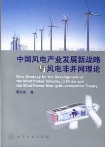 中國風電產業的演化與發展 中國風電產業的演化與發展
