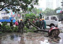 颱風珍珠造成的危害