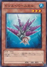 鑽頭藤壺 鑽頭藤壺