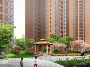 桔洲印象 桔洲印象