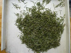 石台香芽 石台香芽