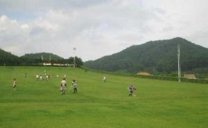 清新溫礦泉滑草場 清新溫礦泉滑草場