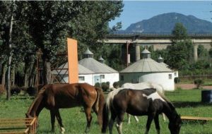 藍天牧場 藍天牧場