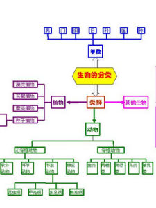 生物分類 生物分類