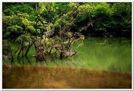 董家河鄉 董家河鄉