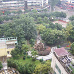 雙楠森樺苑 雙楠森樺苑