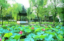 荷風四面亭 荷風四面亭