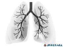 肺