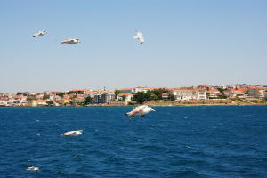 達達尼爾海峽 達達尼爾海峽