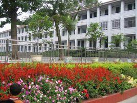 蓬溪縣下河街國小 蓬溪縣下河街國小