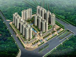 德洲丹緹軒 德洲丹緹軒