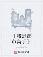 《我是都市高手》 《我是都市高手》