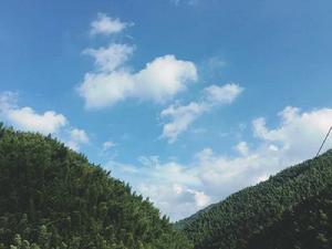 百丈山[江西奉新縣山峰]