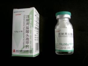 頭孢甲肟 頭孢甲肟