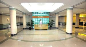 朝鮮紋繡康復療養院