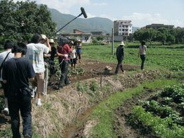 非常家事 非常家事