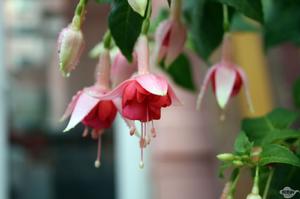 雨中花慢·代州南樓 雨中花慢·代州南樓
