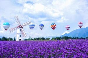 花海樂園 花海樂園