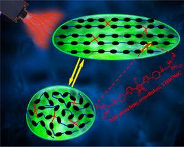 光回響高分子 光回響高分子