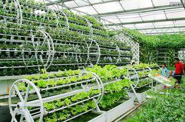 現代農業示範區 現代農業示範區