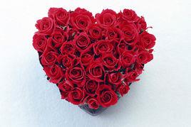 玫瑰谷[襄陽玫瑰谷]