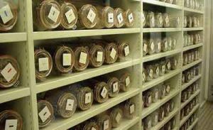 中國西南野生生物種質資源庫 中國西南野生生物種質資源庫