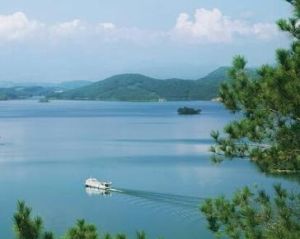 高州水庫 高州水庫