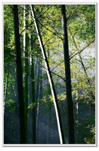 《幽成四景·水光》 《幽成四景·水光》