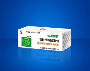 注射用頭孢匹胺 注射用頭孢匹胺