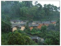 冬筍林自然村 冬筍林自然村