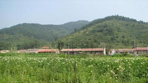 白虎嶺汾陽市一側