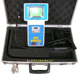 WJX—99Ⅱ型高精度SF6氣體檢漏儀 WJX—99Ⅱ型高精度SF6氣體檢漏儀