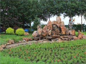 長春農博會 長春農博會