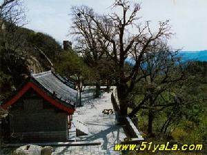 王哥莊街道辦事處